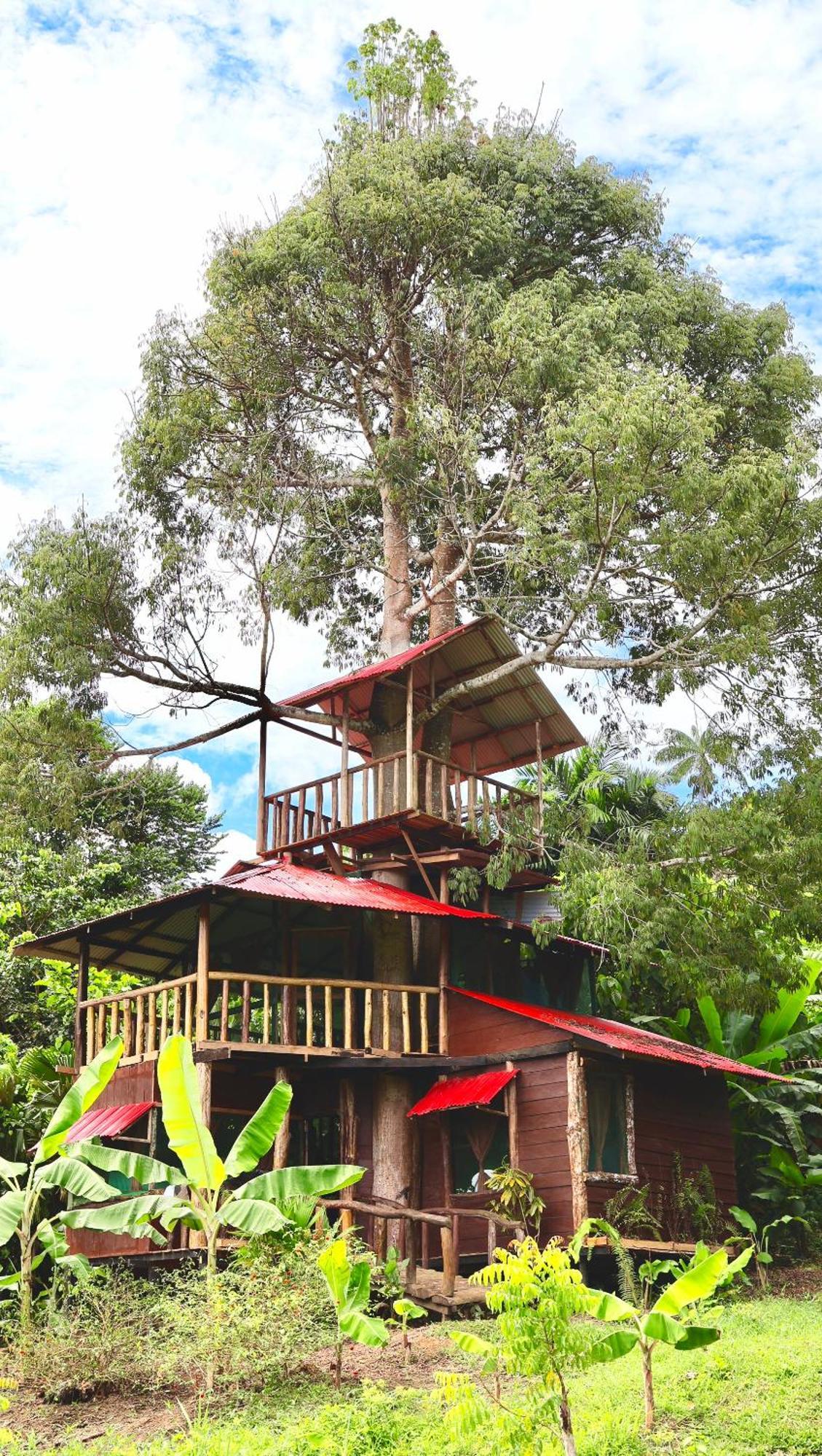 Reserva Natural Natura Park Puerto Nariño Kültér fotó